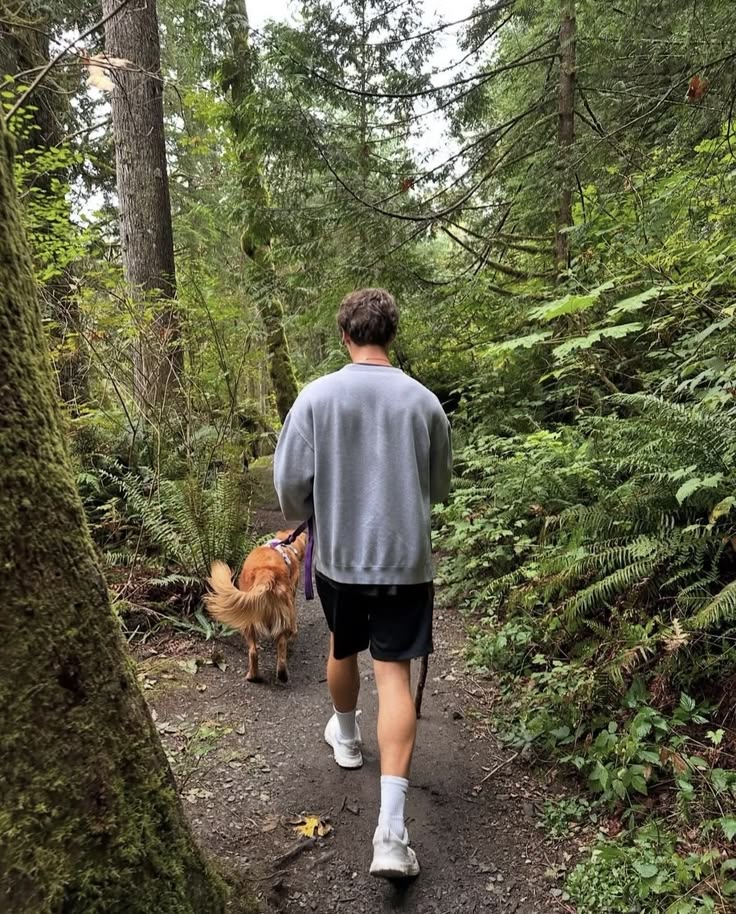 Waldspaziergang mit Hund